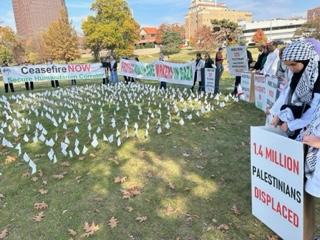 Field of flags, each flag representing nearly 13 persons killed in Gaza since Oct. 7.—Photos by Ann Suellentrop